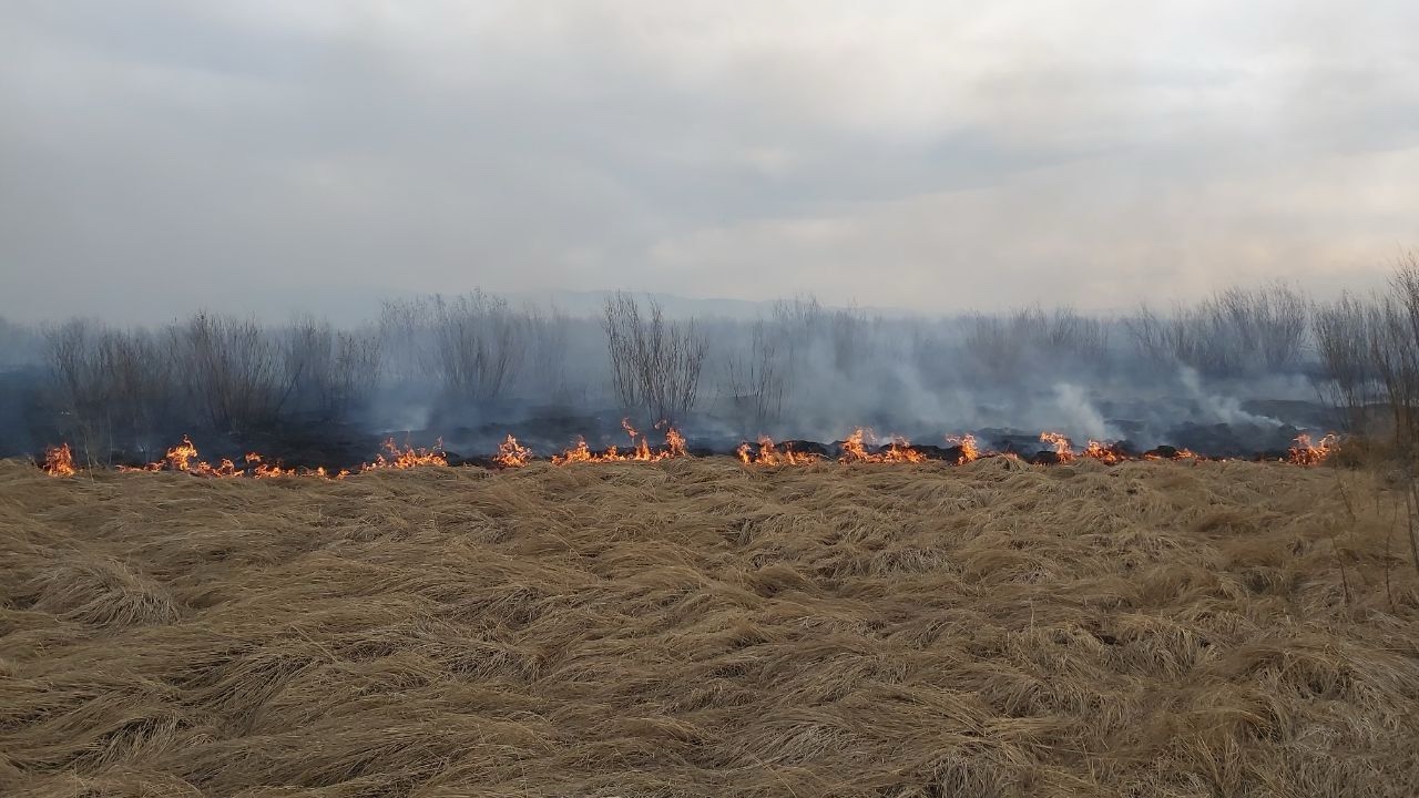 ПАМЯТКА  пожарная безопасность в лесах.