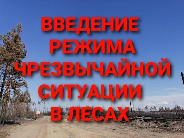 О запрете посещения лесов в период ЧС регионального характера.