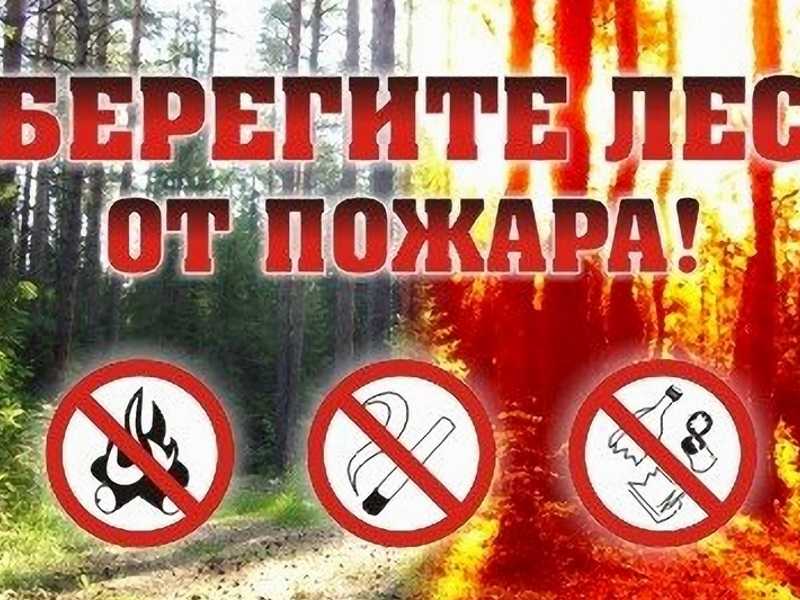 Памятка по пожарной безопасности в лесных массивах.