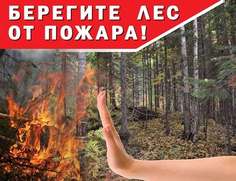 БЕРЕГИТЕ ЛЕС ОТ ПОЖАРА!.