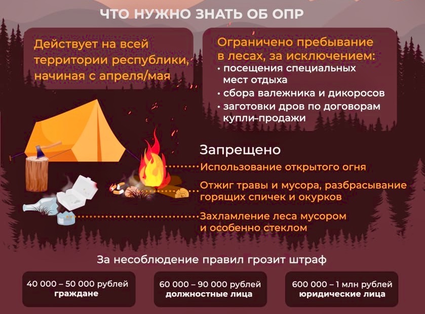 В лесах Бурятии введен особый противопожарный режим Республика Бурятия.