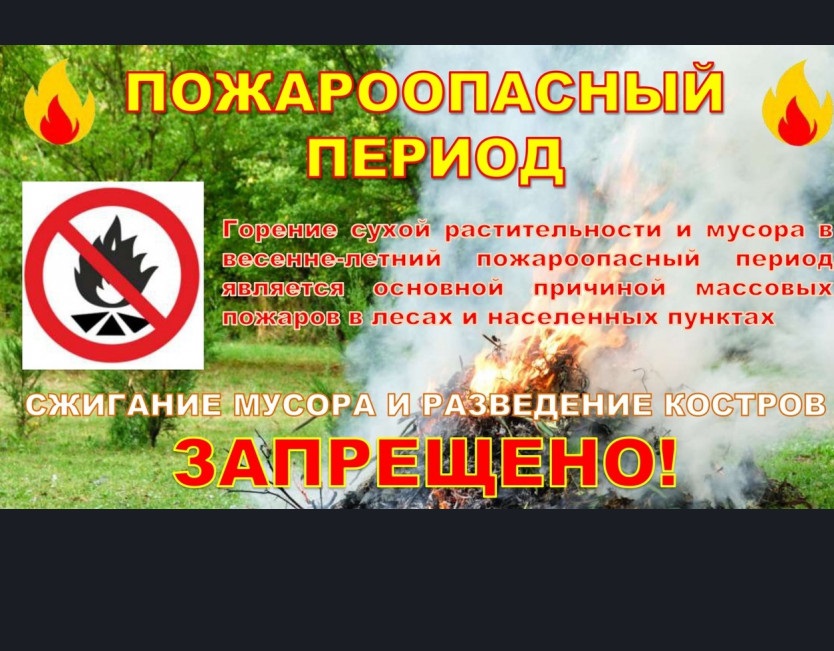 ПАМЯТКА правила пожарной безопасности в лесу..