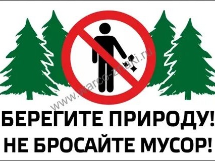 «Лес – наше богатство: почему важно беречь природу и не оставлять мусор».