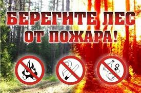 Памятка населению по профилактике лесных пожаров и действиям при их возникновении.