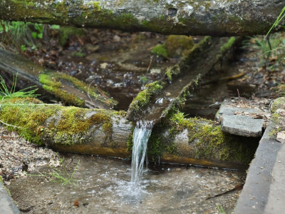 Буксехенский серебряный аршан.
